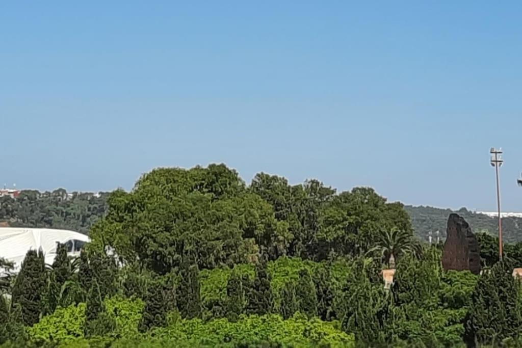 Hassan Tower And The Marina Come To You Rabat Buitenkant foto